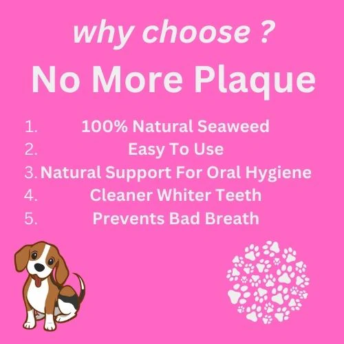 Bewow Healthcare No More Plaque For Dog And Cats - Image 3