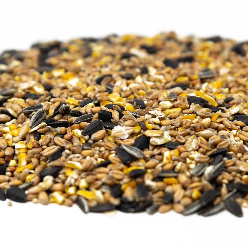 Superpet Premium Wild Bird Seed Mix with Aniseed and Black Sunflower Seeds, Natural Seed Mix for Bird Feeders, High-Energy Bird Food for Small Garden Animals - Image 3