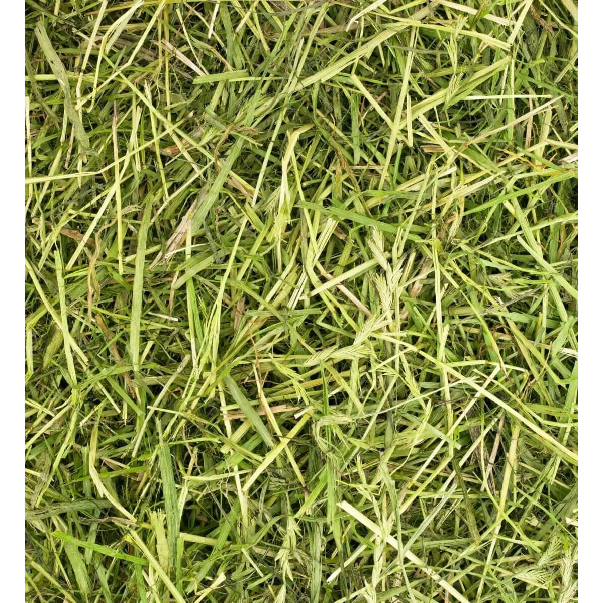 Friendly ReadiGrass 4 x 1kg - Image 3