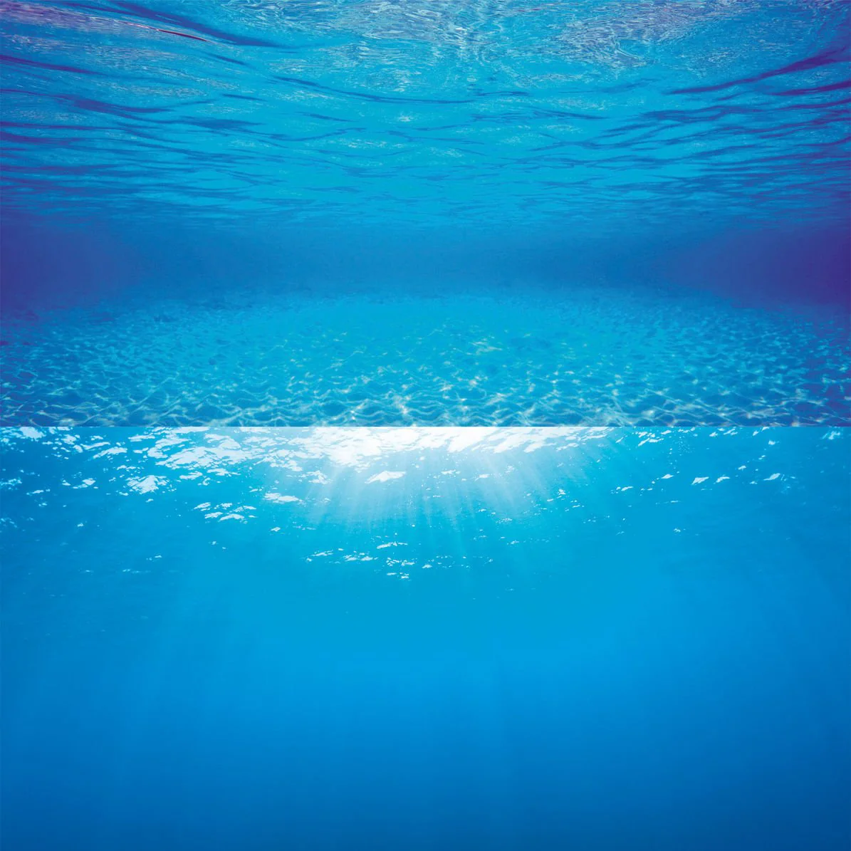 Juwel Aquarium Rear Wall Background Poster - Image 3