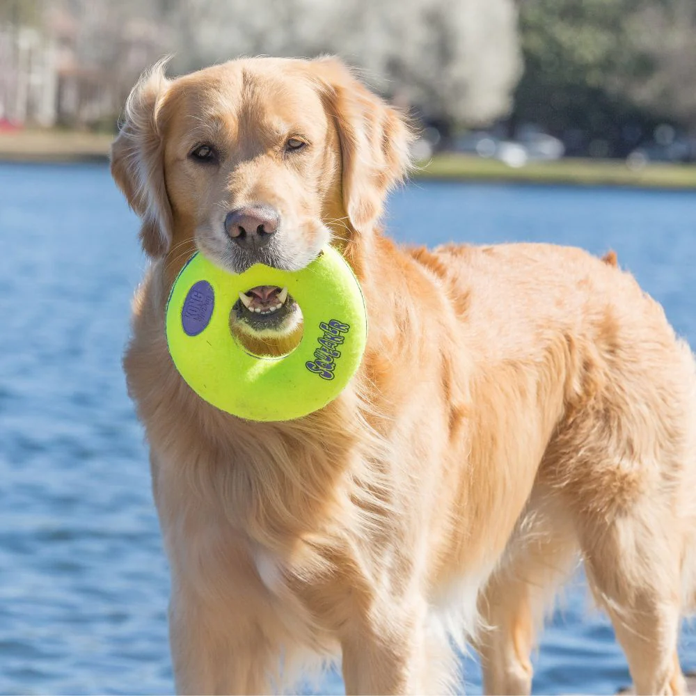 KONG AirDog Donut Large - Image 3