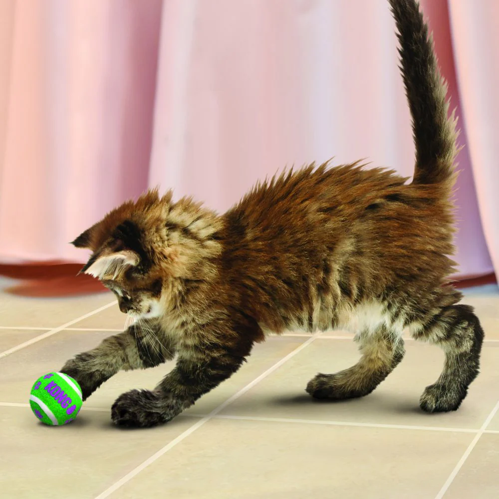 KONG Cat Active Tennis Balls With Bells - Image 3