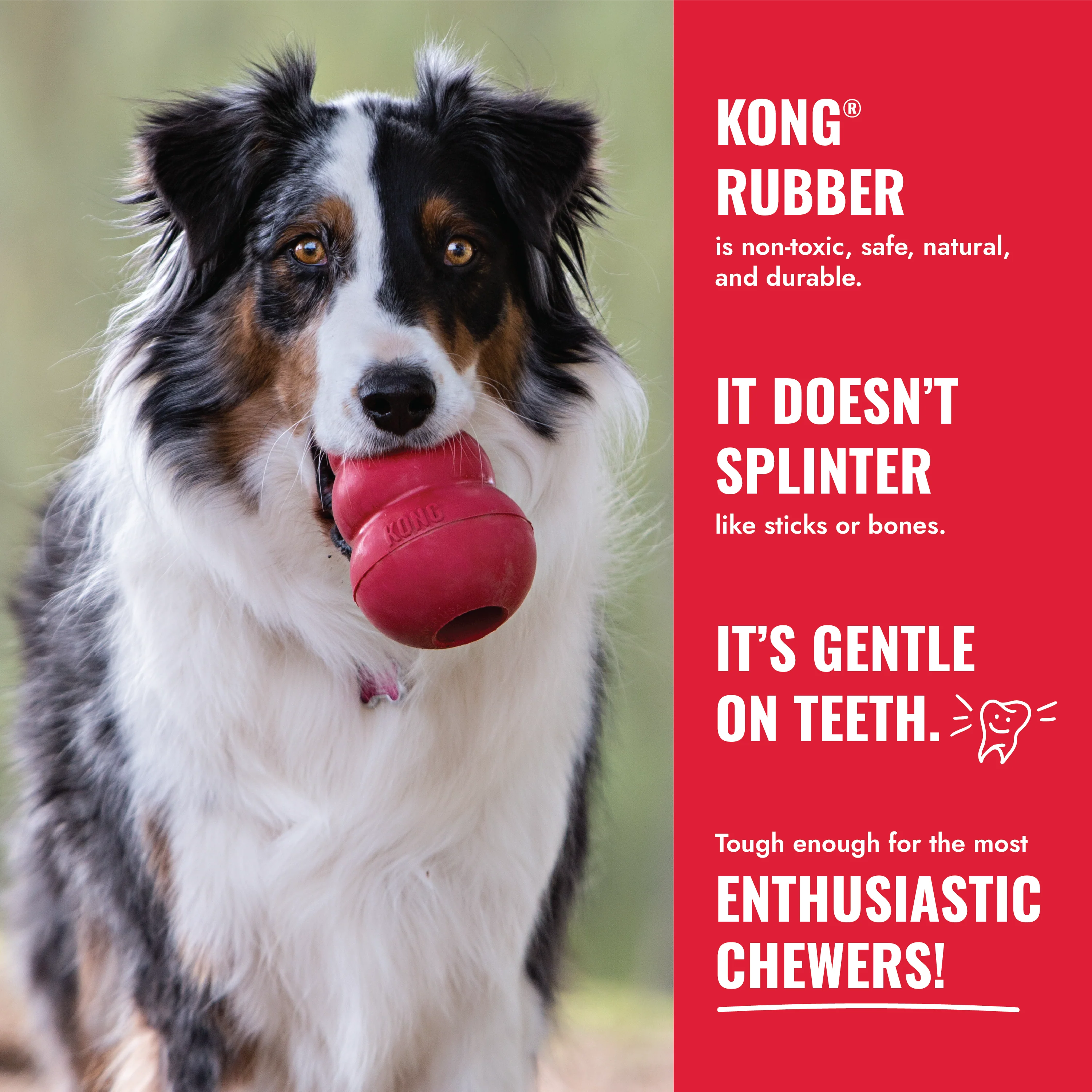 KONG Classic Small - Image 10