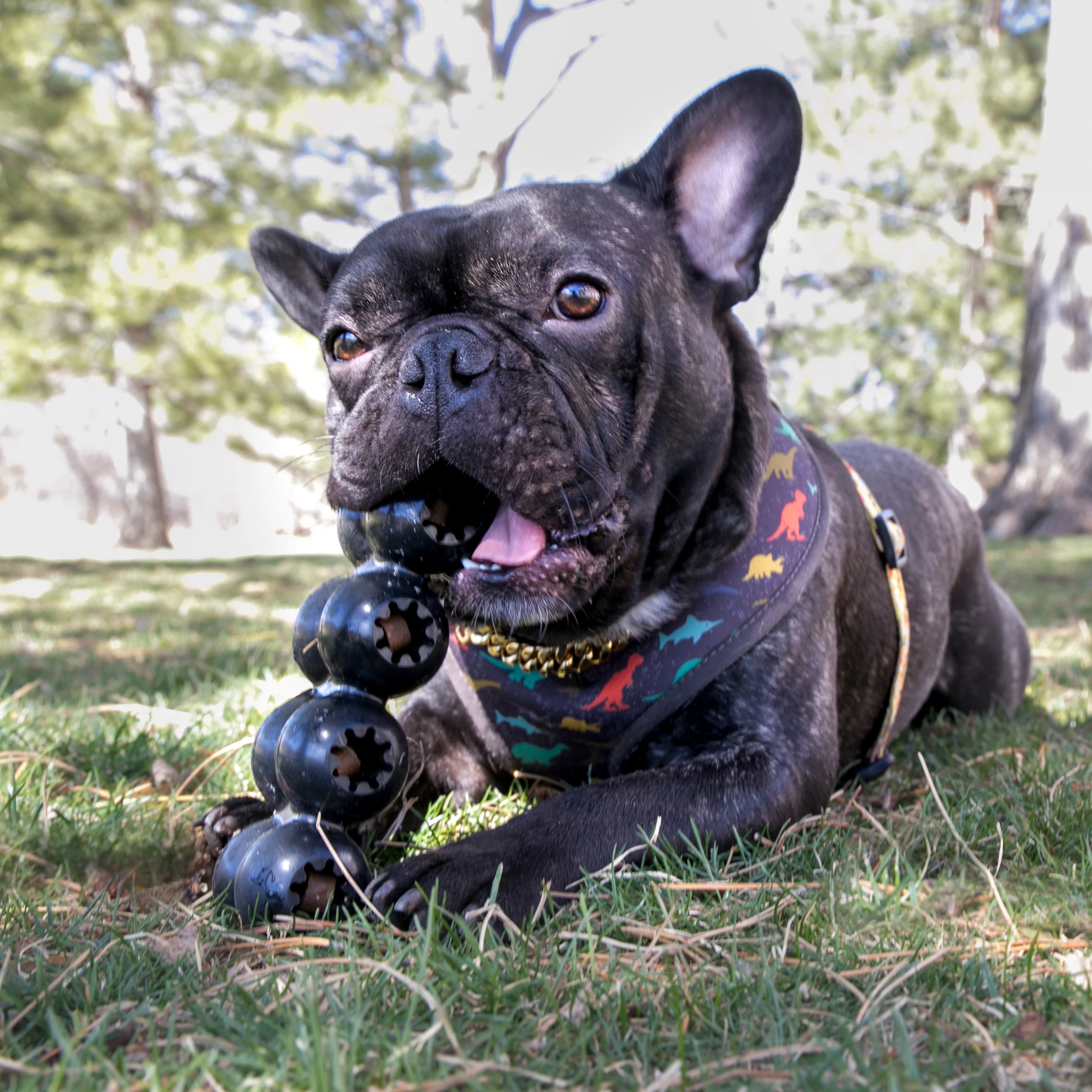 KONG Extreme Goodie Ribbon Large - Image 9