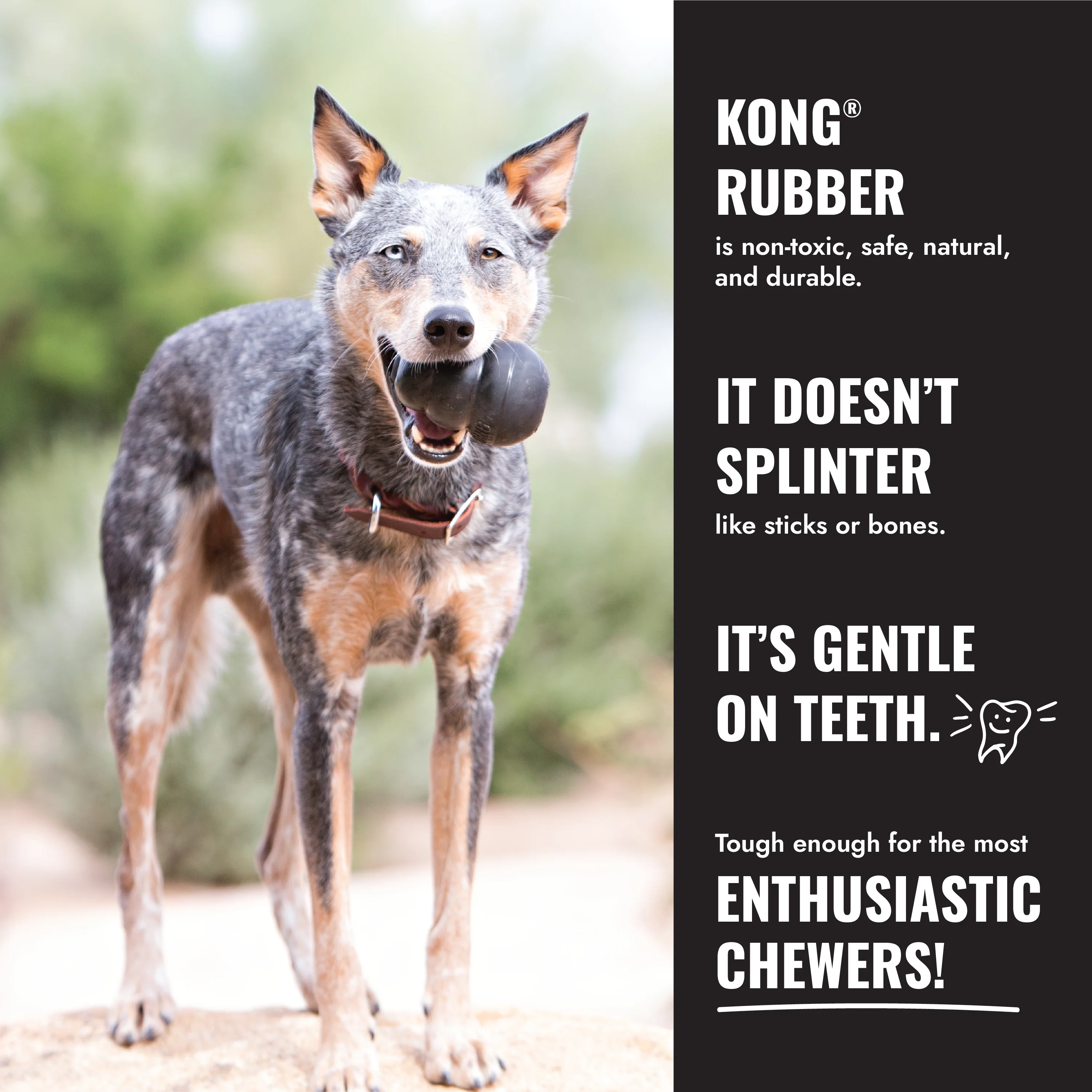 KONG Extreme Medium - Image 8
