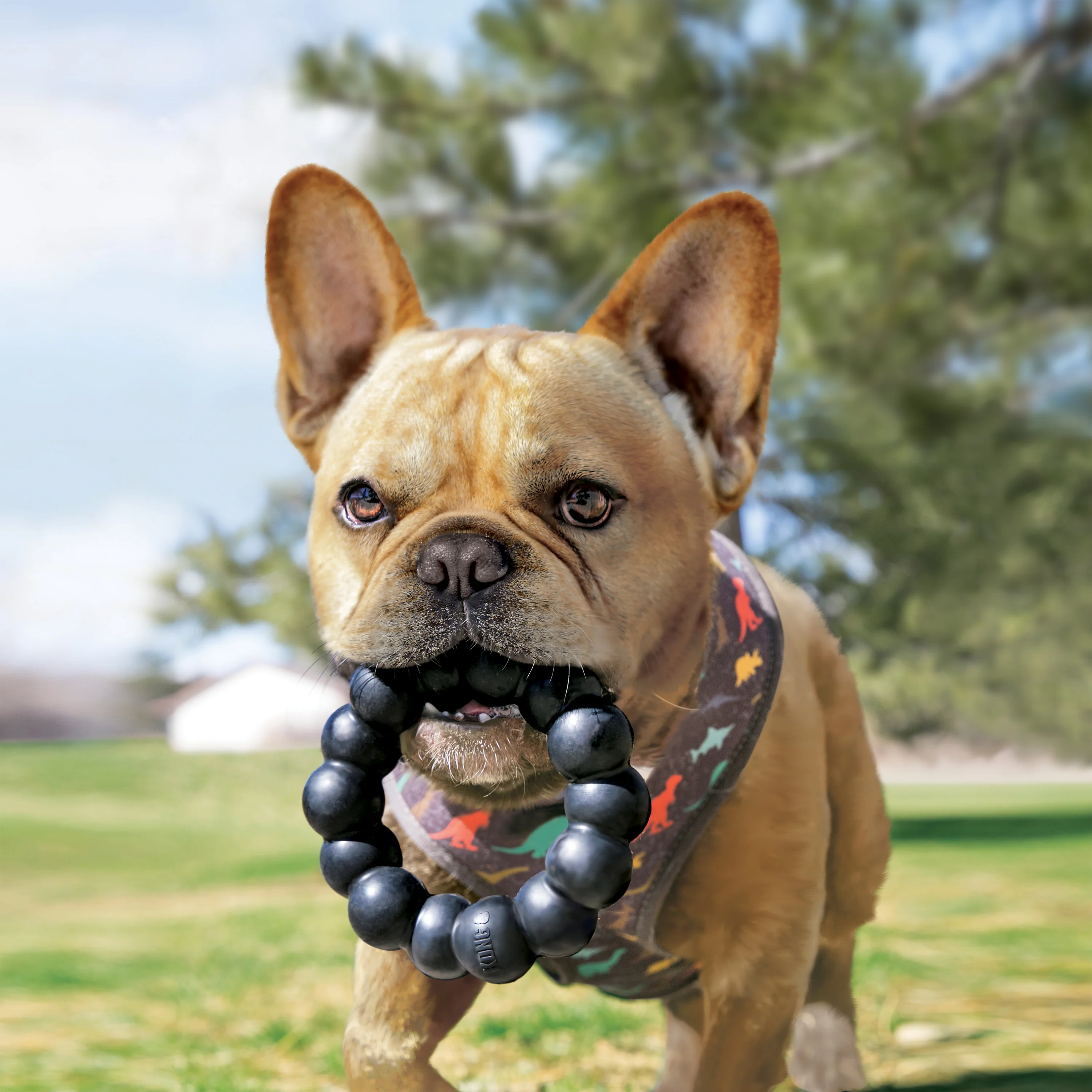 KONG Extreme Ring X Large - Image 8