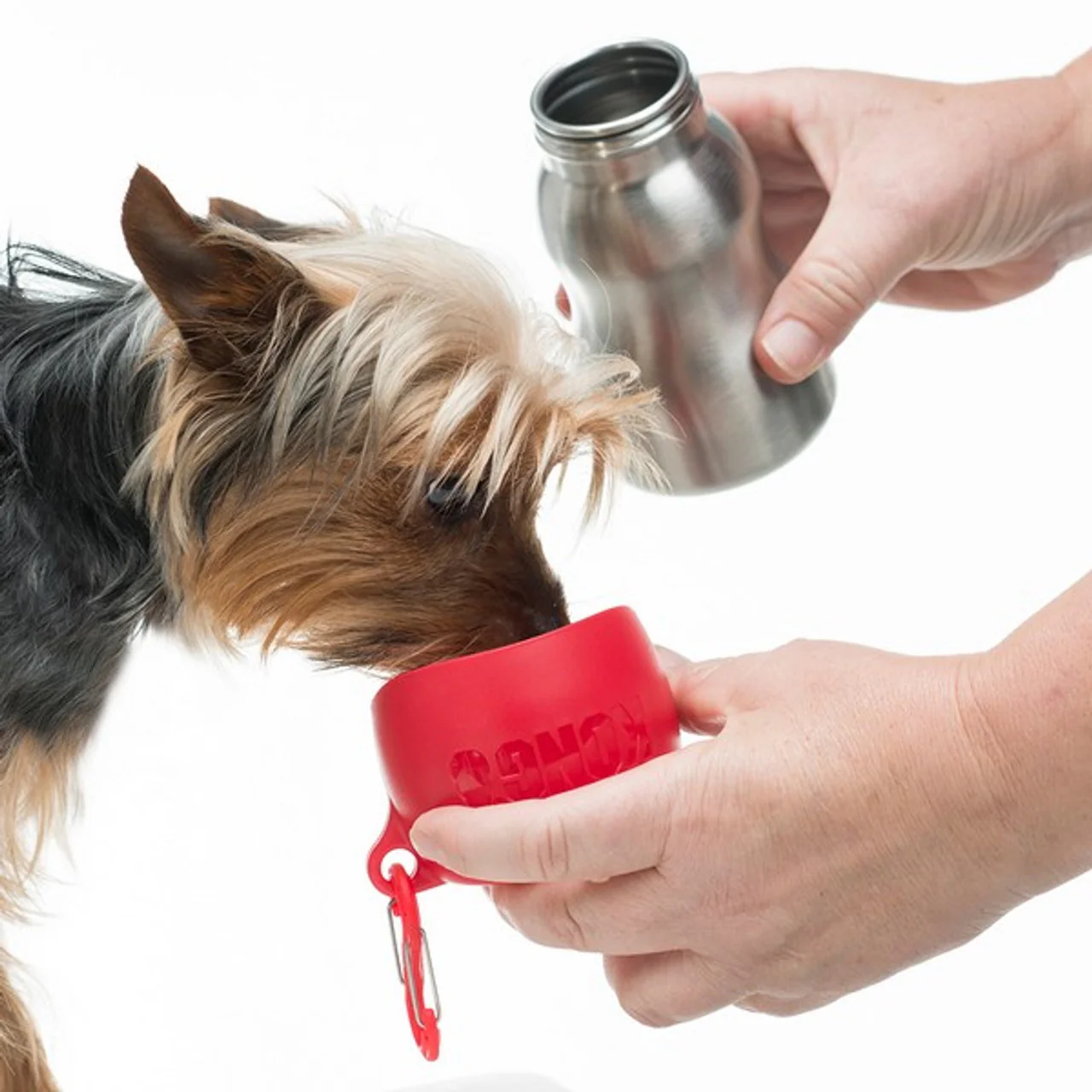 KONG H2O Bottle Stainless Steel Red 280Ml - Image 2