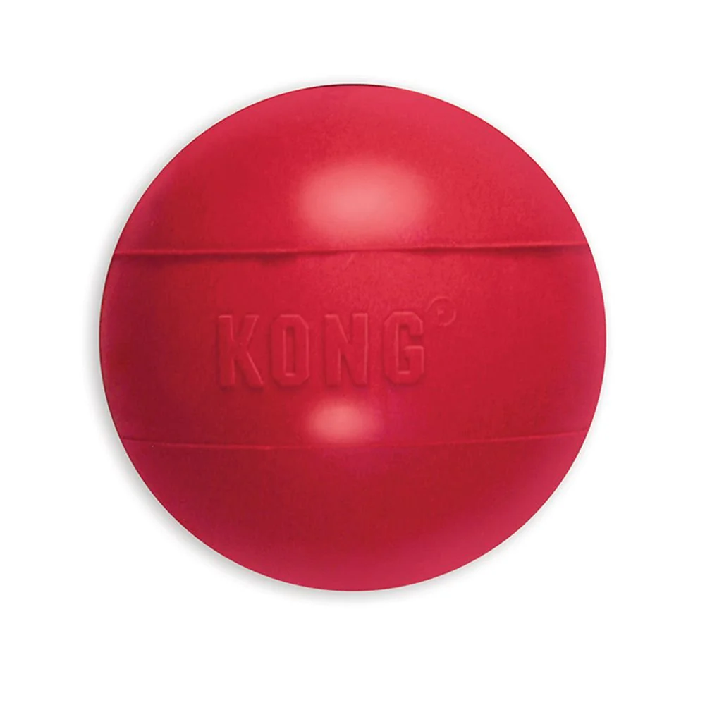 KONG Ball With Hole Medium/Large - Image 2