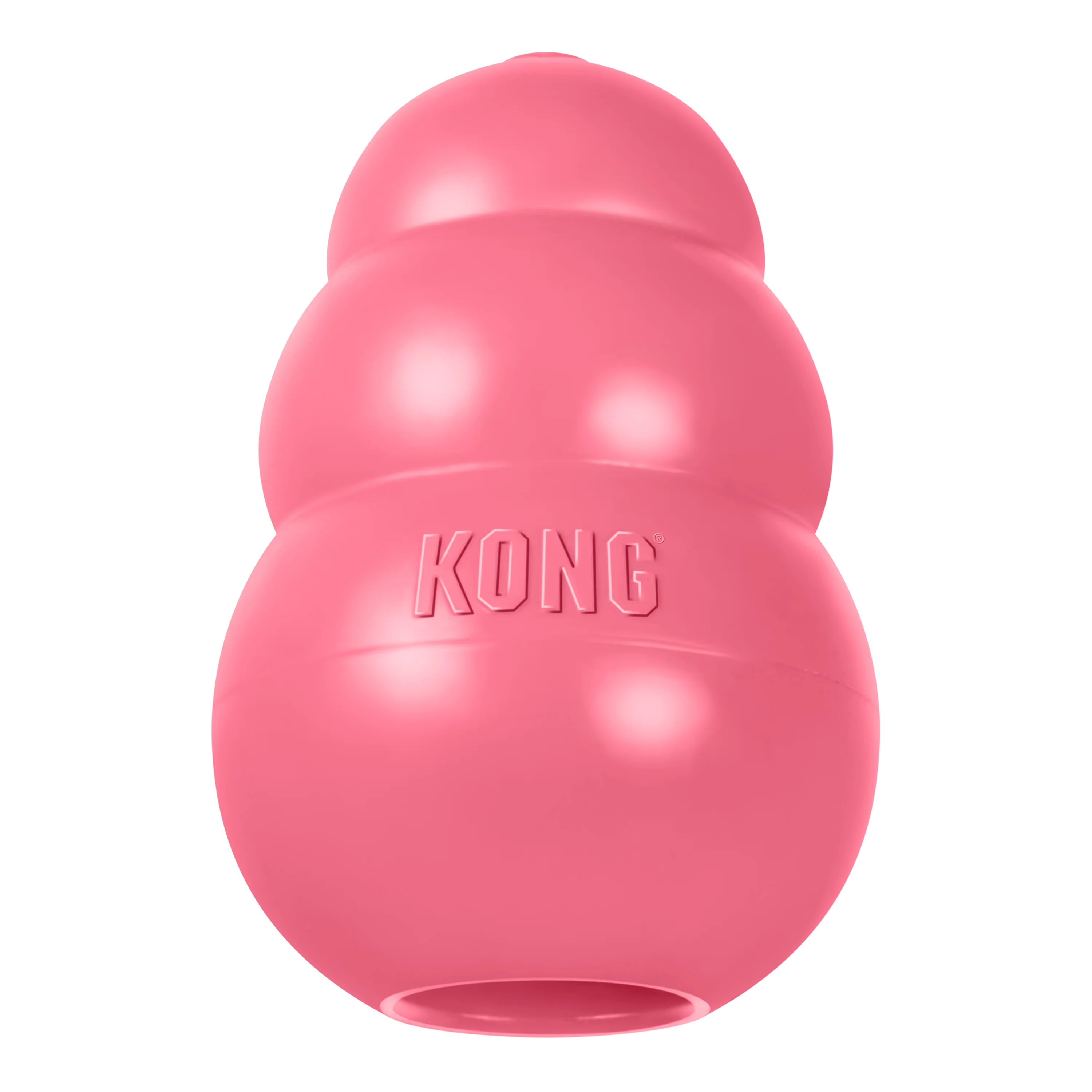 KONG Puppy Large - Image 15