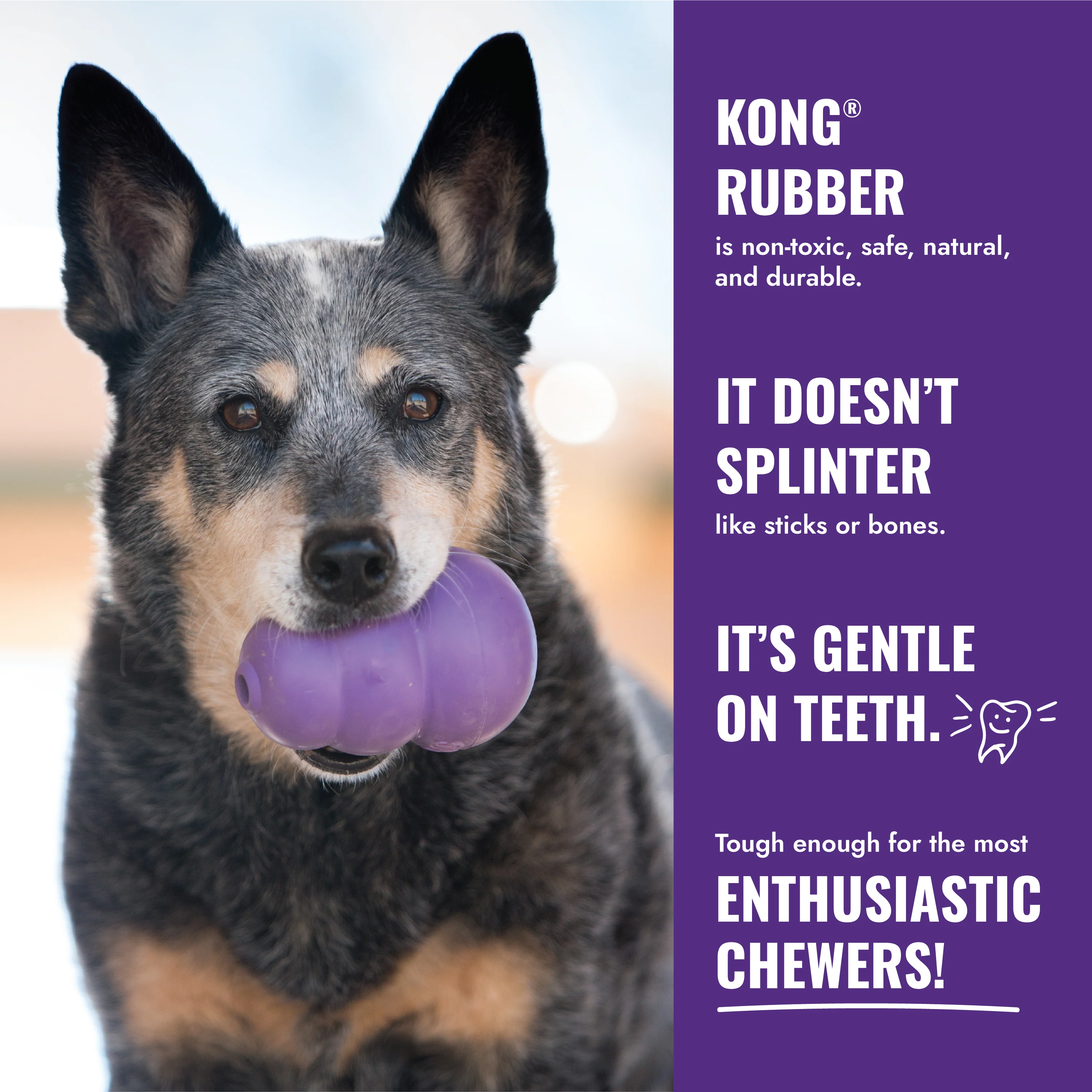 KONG Senior Medium - Image 8