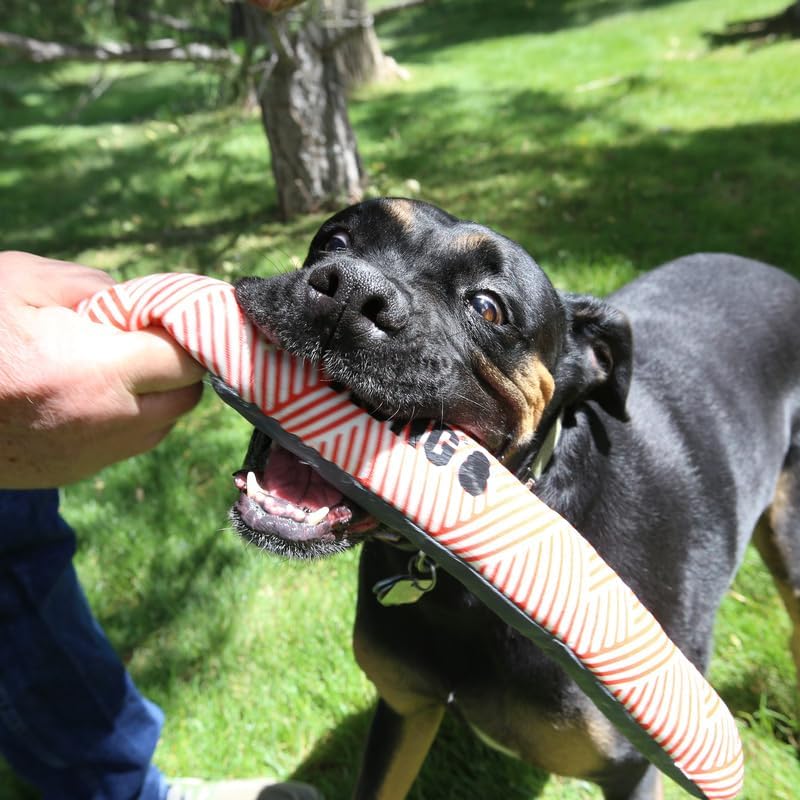 KONG Maxx Stick Small/Medium - Image 2