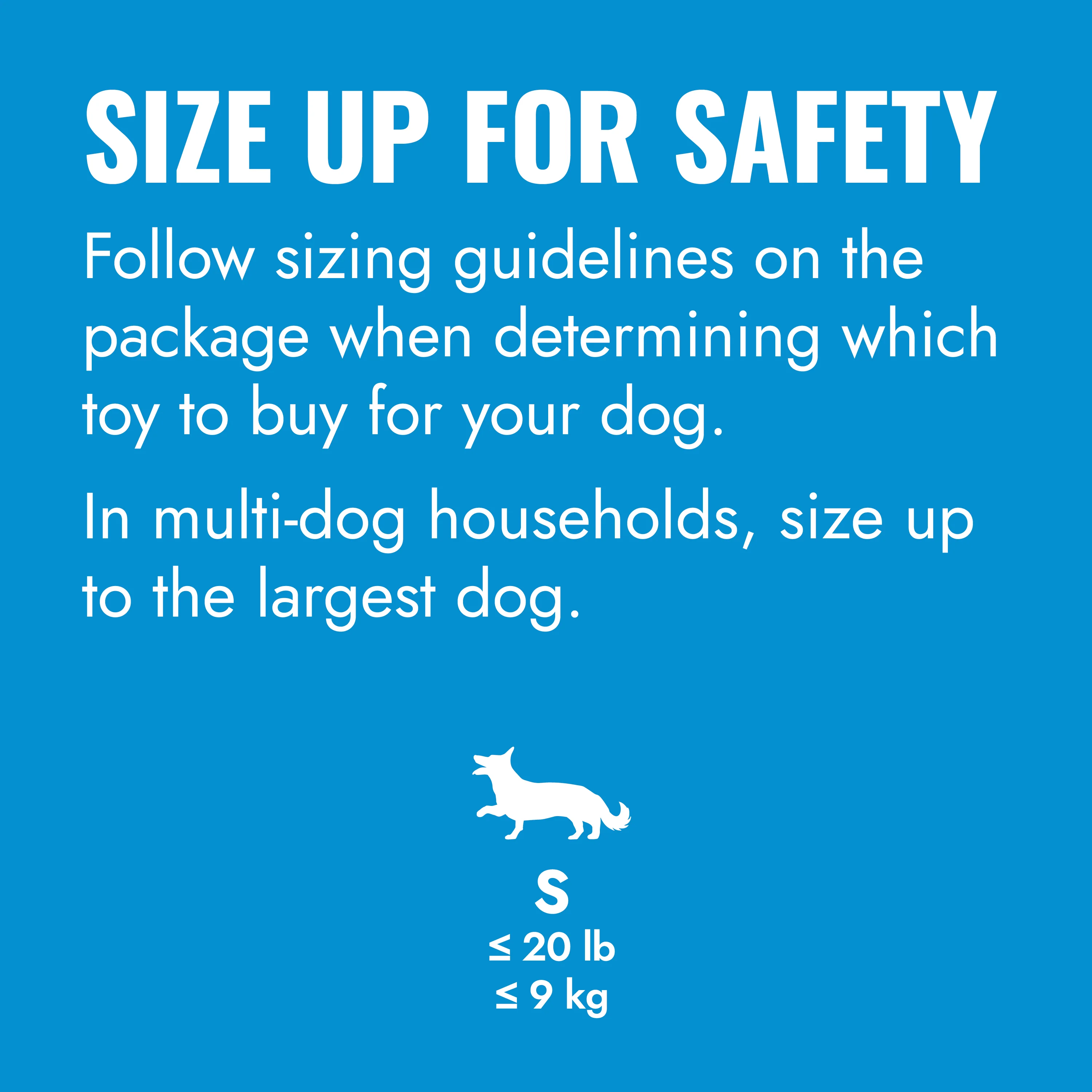 KONG Puppy Flyer Small - Image 4