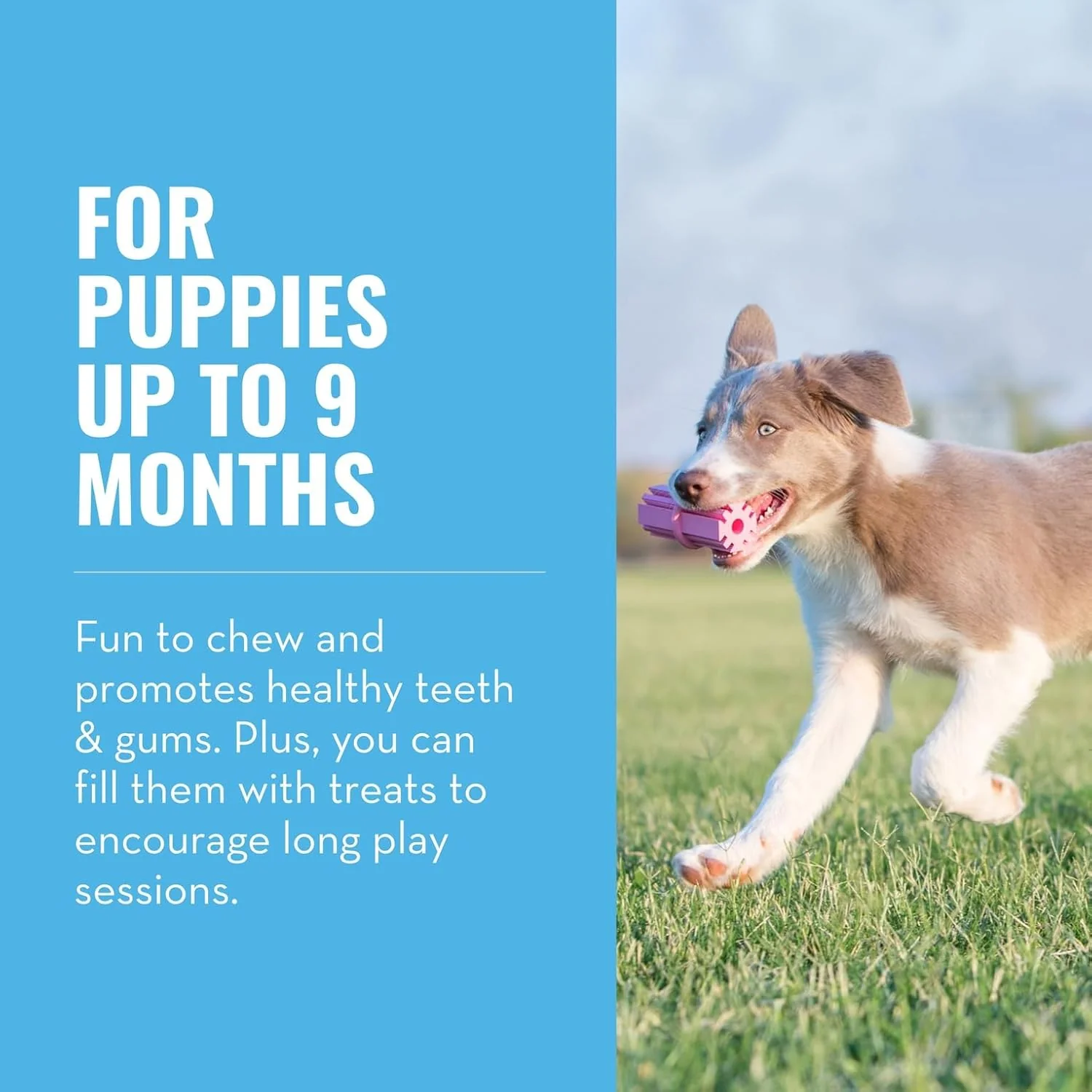 KONG Puppy Teething Stick Medium - Image 5