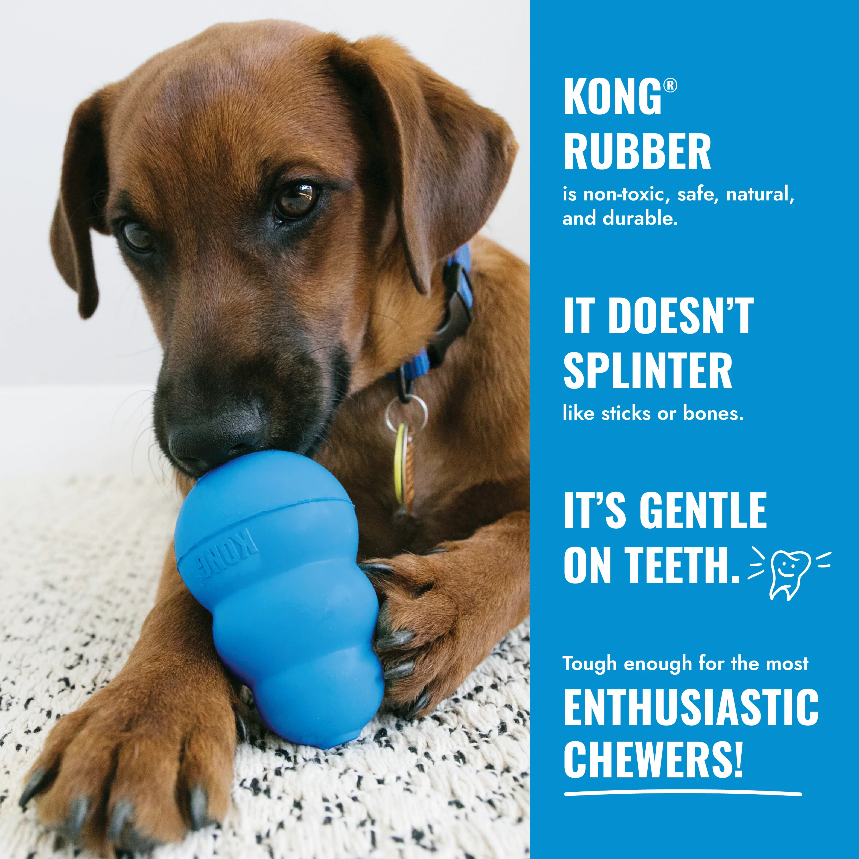 KONG Puppy X Small - Image 9