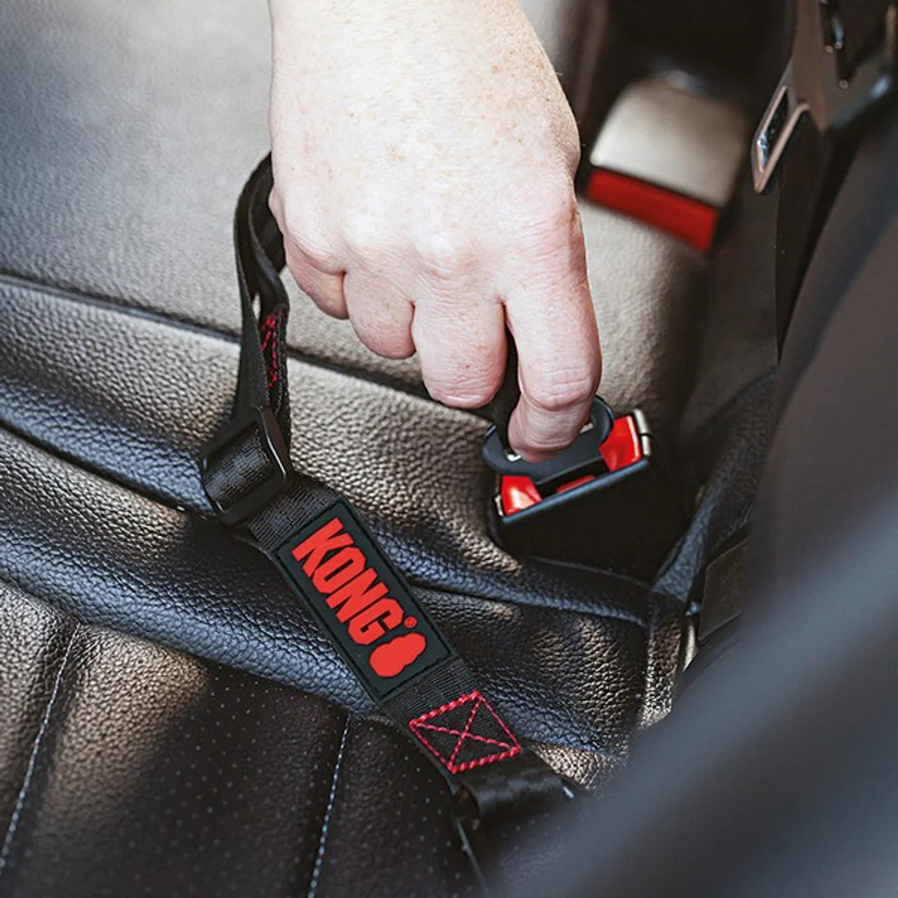 KONG Seat Belt Tether - Image 3