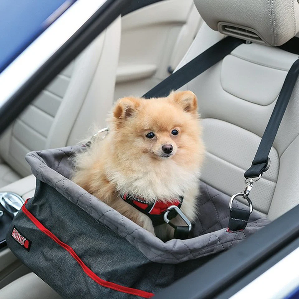 KONG Secure Booster Seat - Image 3