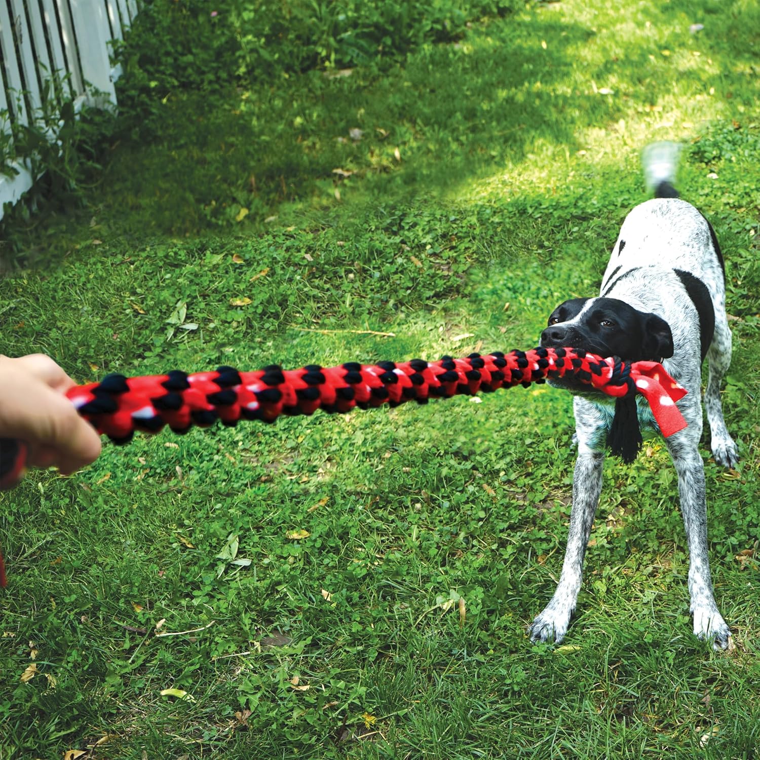 KONG Signature Rope Mega 40" Dual Knot - Image 2