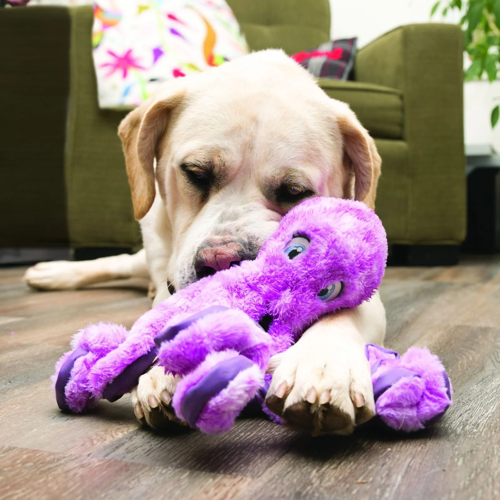 KONG SoftSeas Octopus Large - Image 3