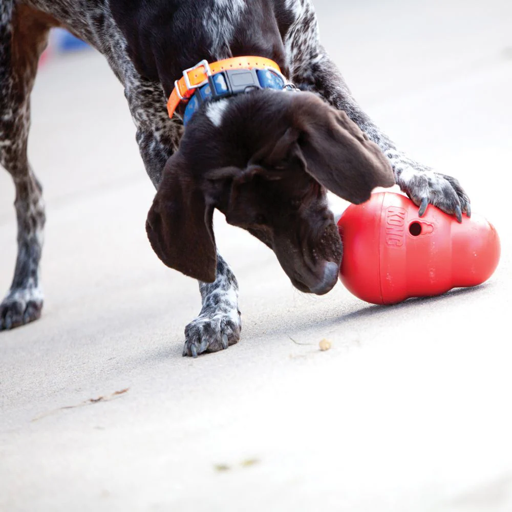 KONG Wobbler Small - Image 3
