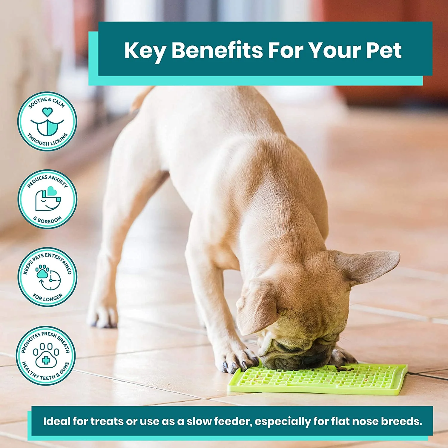 LickiMat Buddy for Dogs Turquoise - Image 2
