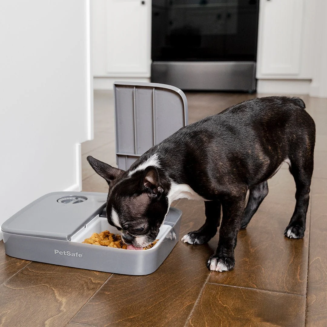 PetSafe Automatic 2 Meal Pet Feeder - Image 3