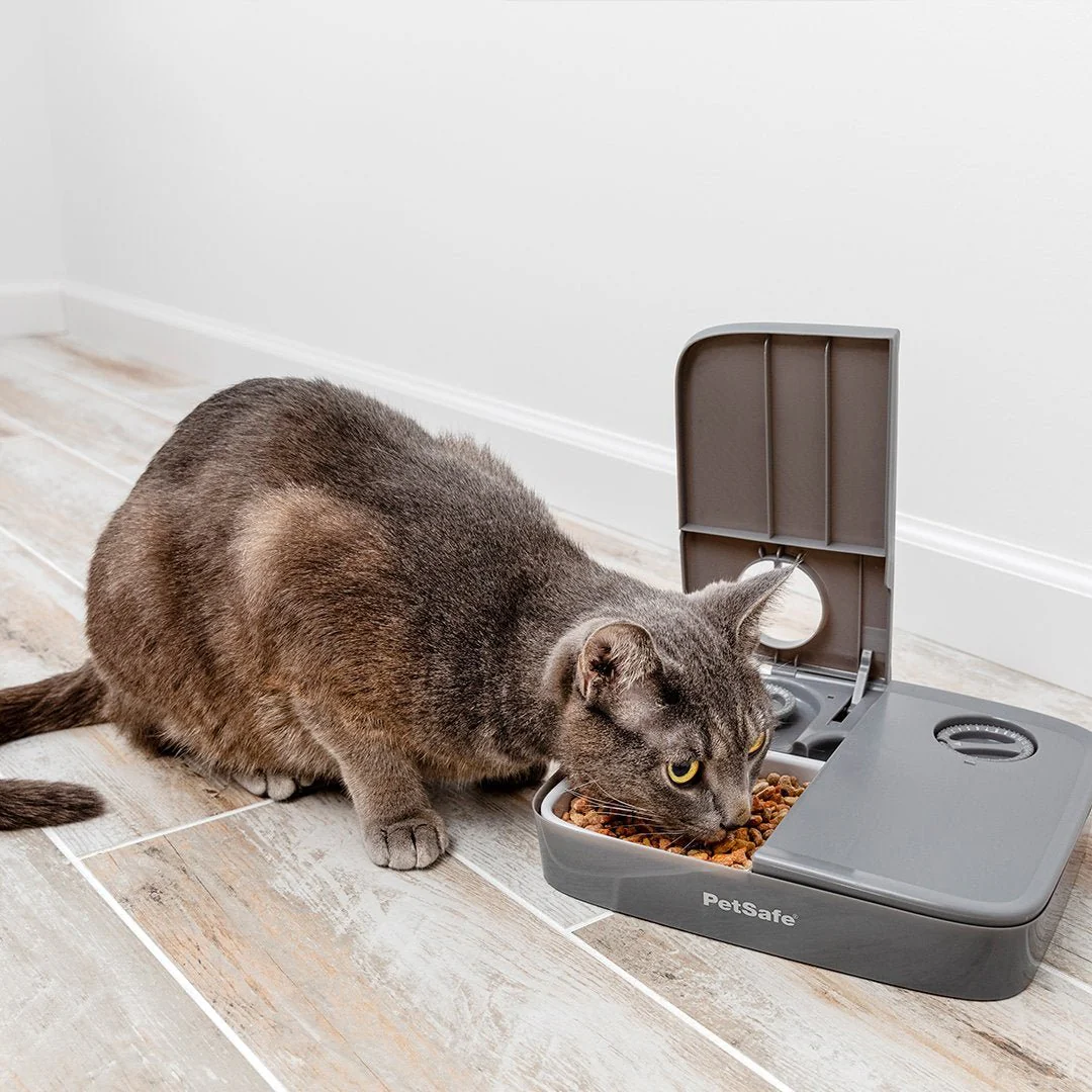 PetSafe Automatic 2 Meal Pet Feeder - Image 4