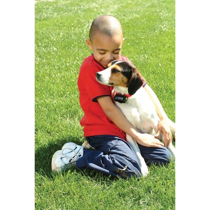 PetSafe Bark Control Collar - Image 3