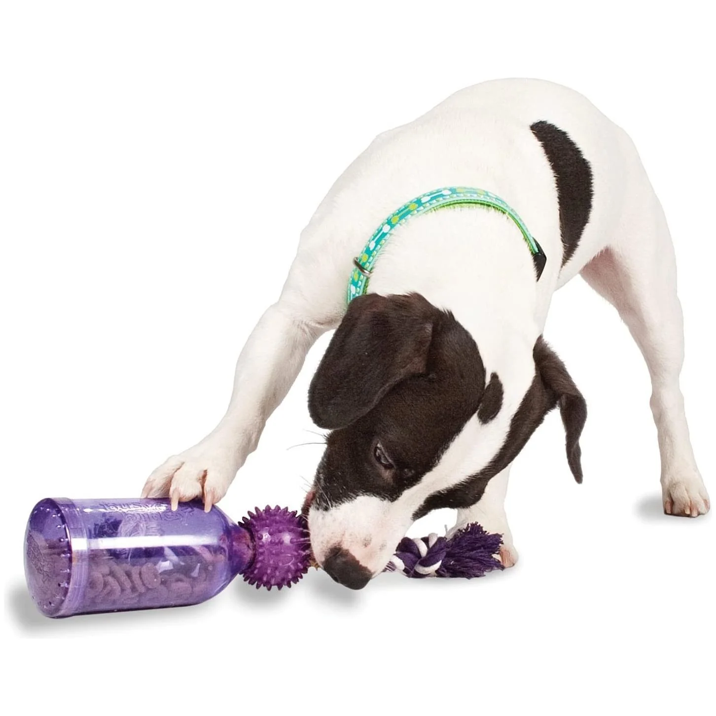 PetSafe Busy Buddy Tug-a-Jug (Medium/Large) - Image 3