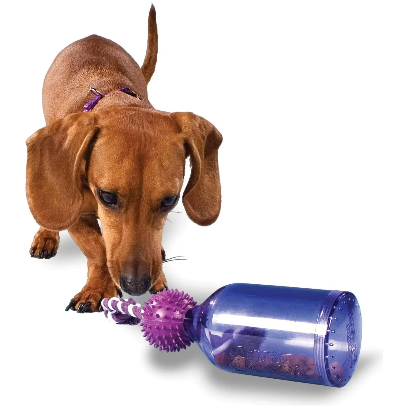 PetSafe Busy Buddy Tug-a-Jug (Small) - Image 2