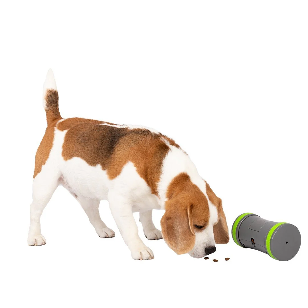 PetSafe Kibble Chase Roaming Treat Dispenser - Image 3
