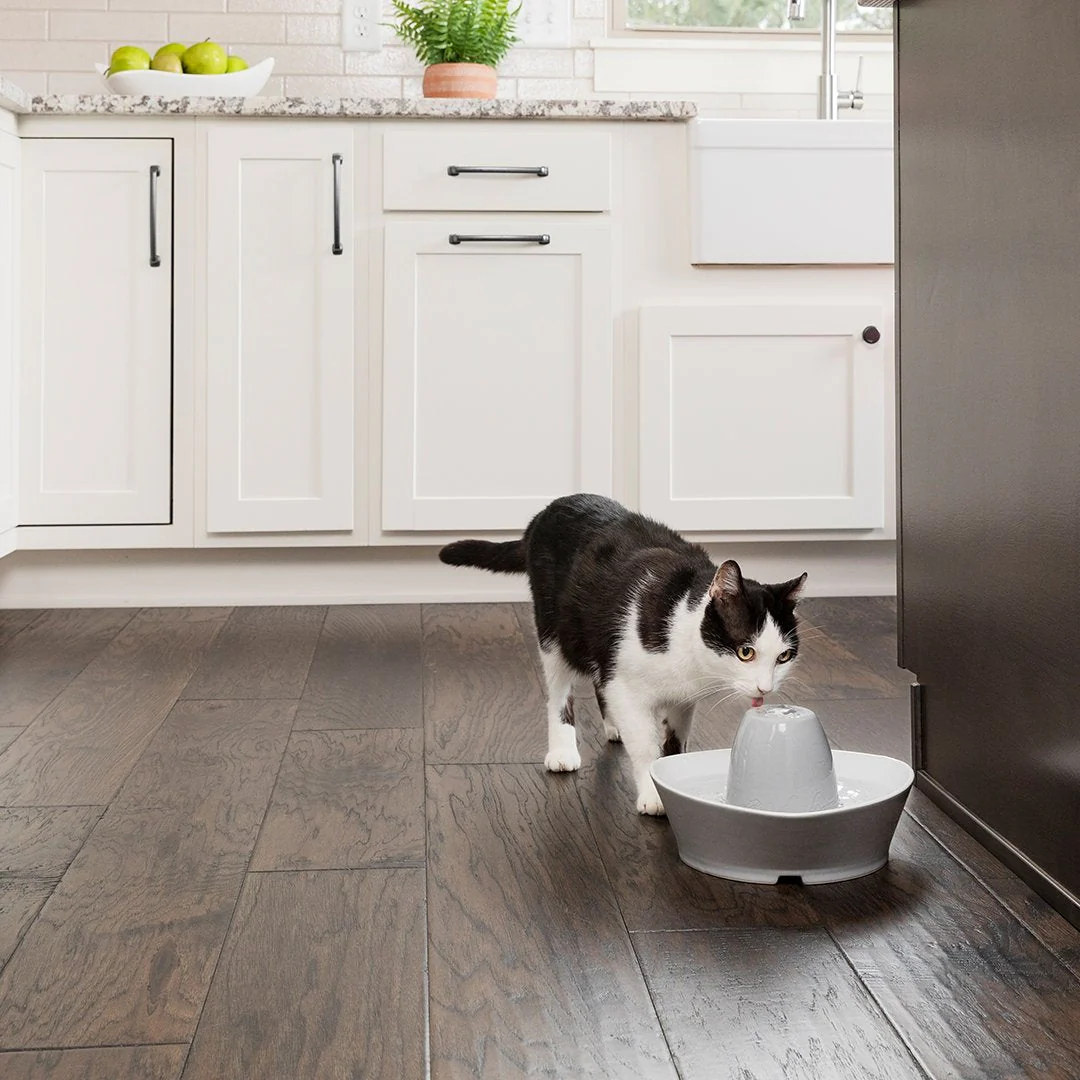 PetSafe Streamside Ceramic Pet Fountain 1.8L - Image 3
