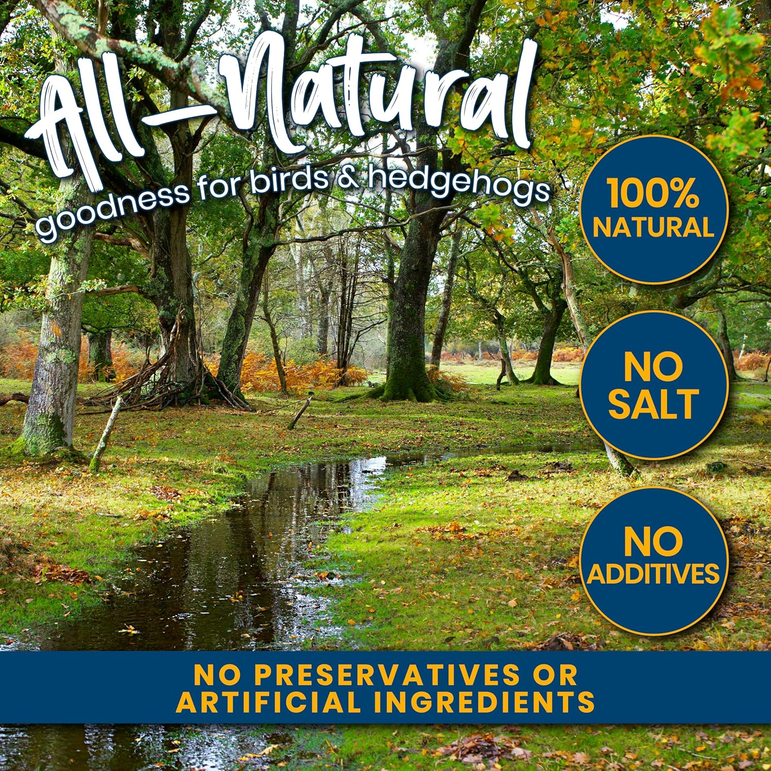 Superpet Dried Mealworms for Wild Birds, High-Protein Meal Worms for Garden Birds, Robins, Blackbirds, Starlings, Chickens & Fish, Premium Year-Round Wild Bird Food - Image 3