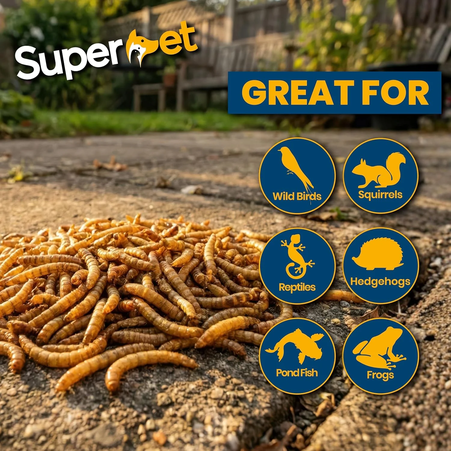 Superpet Dried Mealworms for Wild Birds, High-Protein Meal Worms for Garden Birds, Robins, Blackbirds, Starlings, Chickens & Fish, Premium Year-Round Wild Bird Food - Image 5