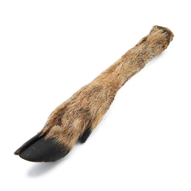 Superpet Natural For Dogs- Bones - Image 3