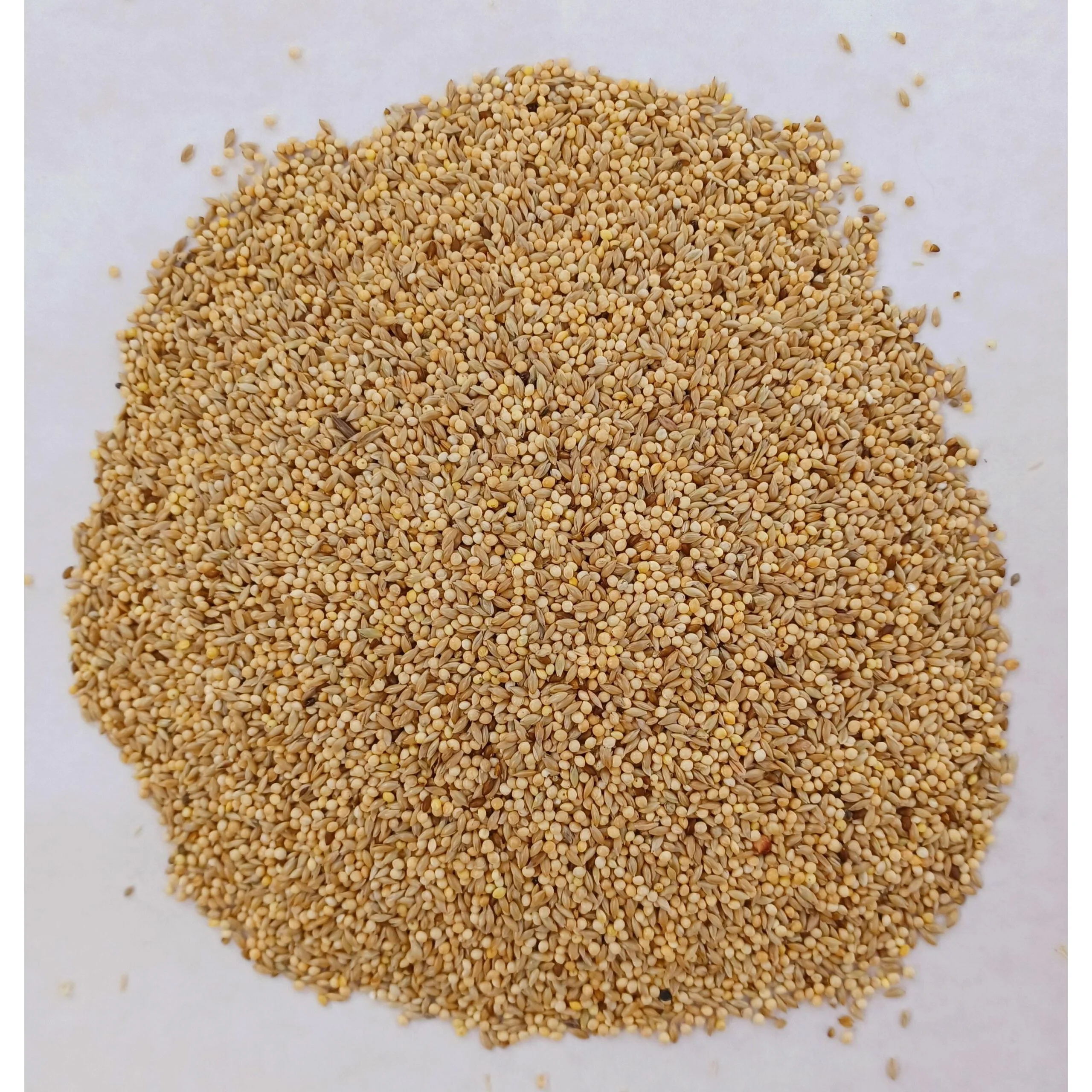Superpet Premium Budgie Mix Bird Food, Millet and Grain Bird Seed for Budgies and Parakeets, High-Energy Aviary Seed for Breeding Birds, Nutritionally Balanced Parrot Food