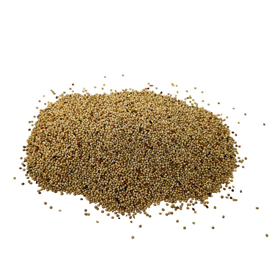 Wild Bird Food
