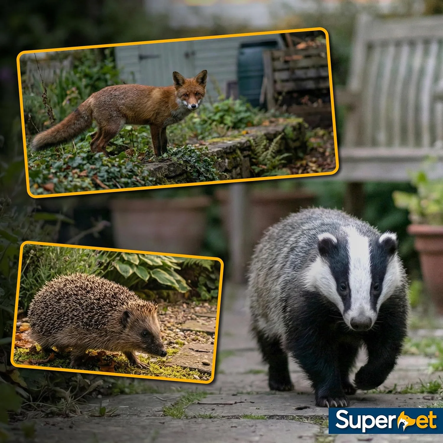 Superpet Premium Fox, Badger & Hedgehog Food, Natural Wildlife Feed for Squirrels, Guinea Pigs, Rabbit Food, Hamster Food, High Protein Complete Nutrition for Garden Animals - Image 6