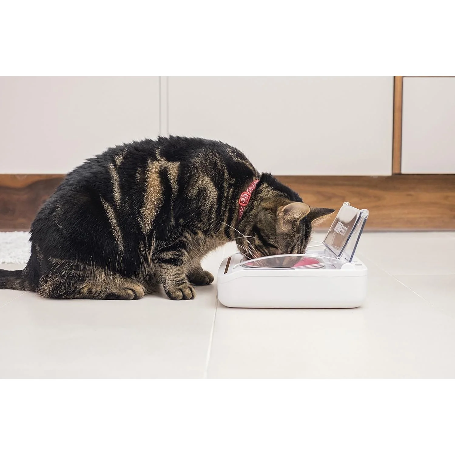 Sure Petcare SureFeed Sealed Pet Bowl for Cats and Small Dogs White - Image 2