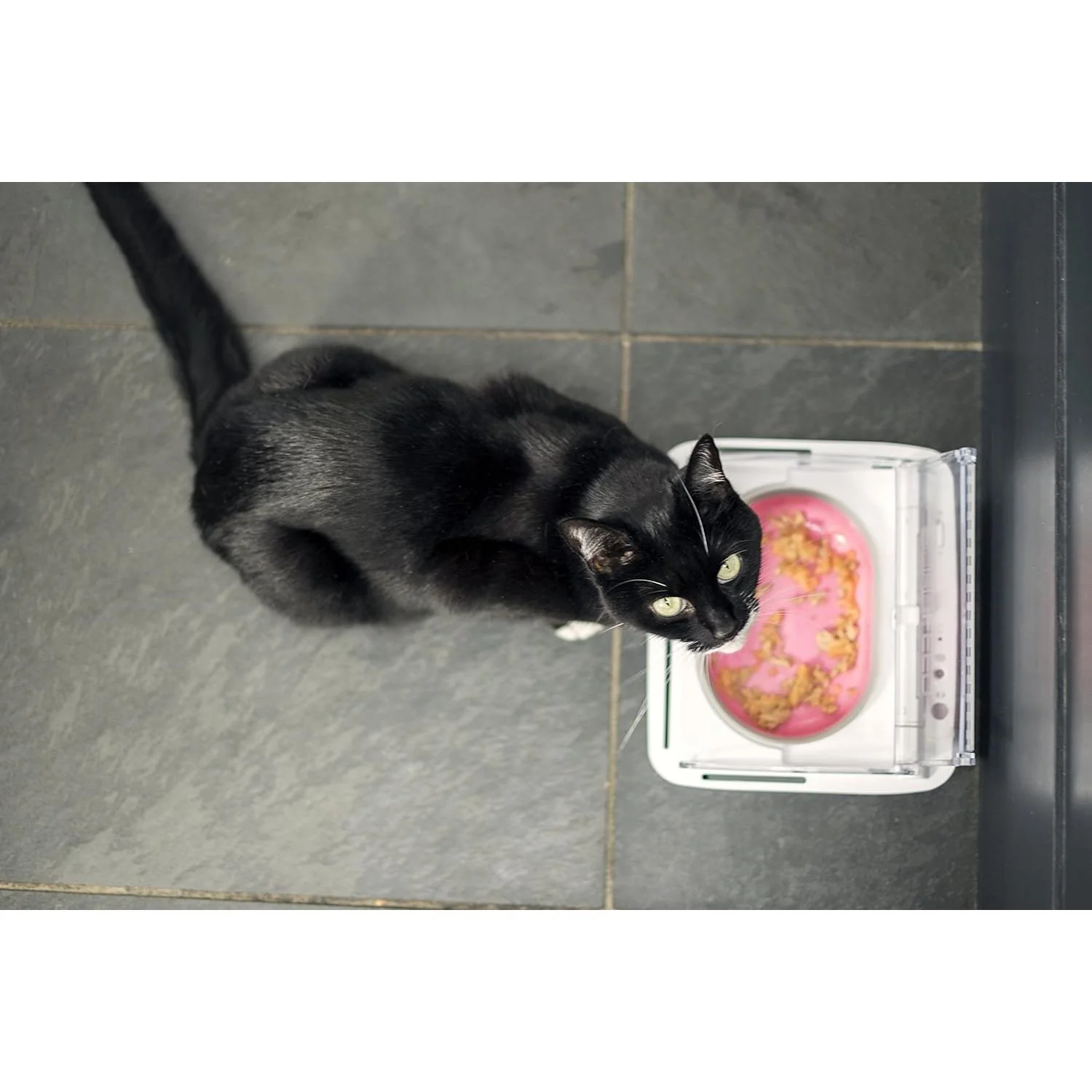 Sure Petcare SureFeed Sealed Pet Bowl for Cats and Small Dogs White - Image 3