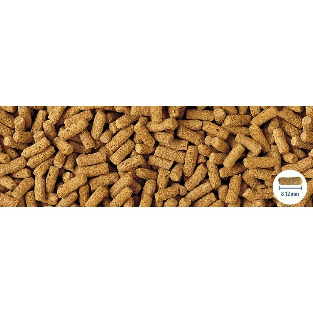 Tetra Pond Wheatgerm Sticks 4L (780g) - Image 2