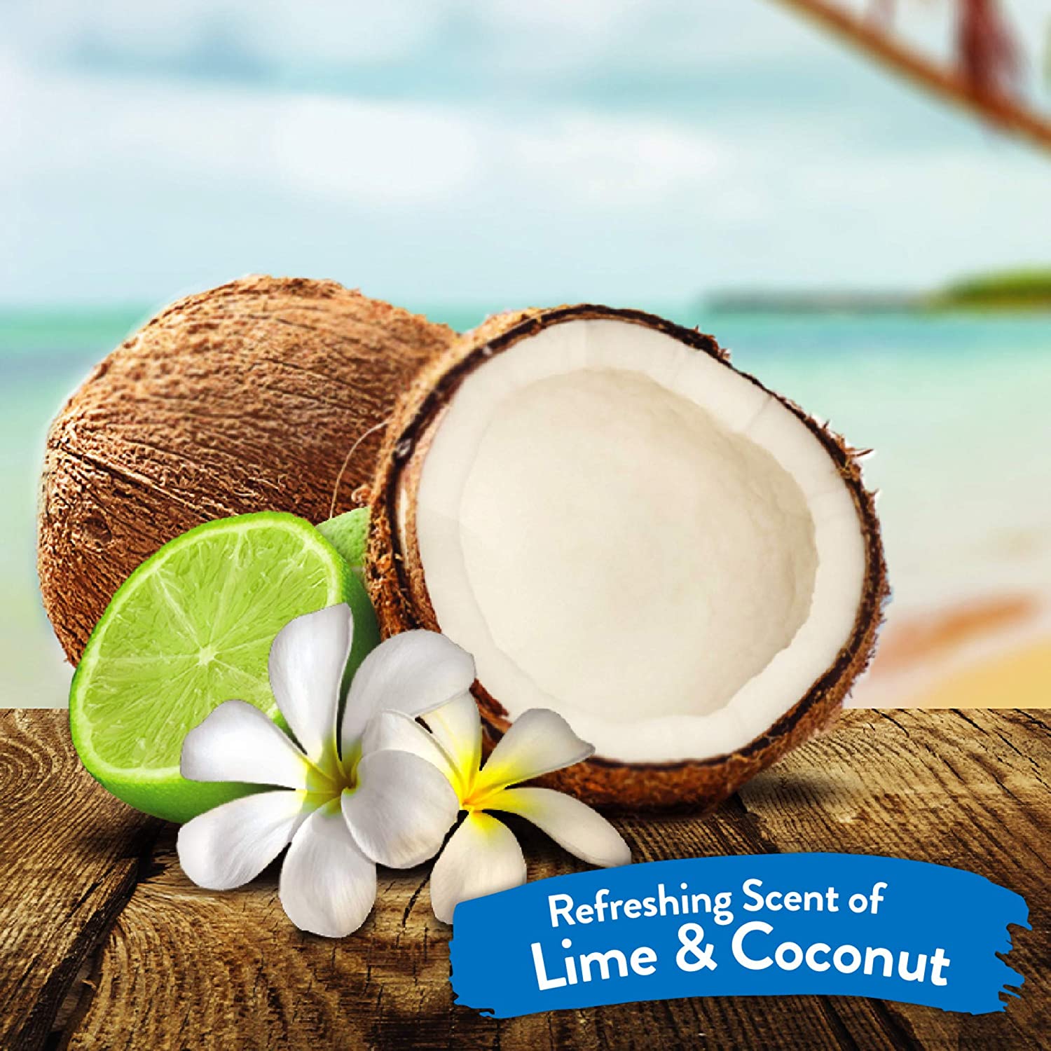 TropiClean Shed Control Lime & Coconut Pet Shampoo 355ml - Image 3