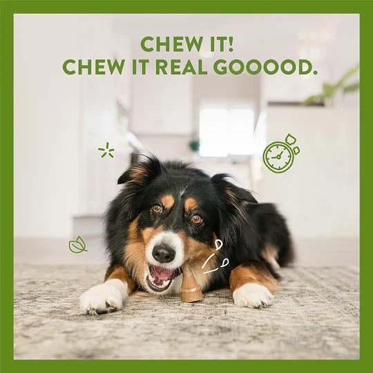 Whimzees Antler (Occupy) Dental Treat For Dogs - Image 4