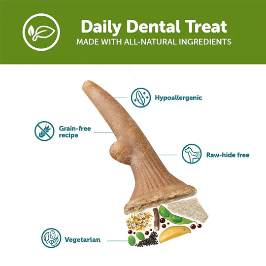 Whimzees Antler (Occupy) Dental Treat For Dogs - Image 6