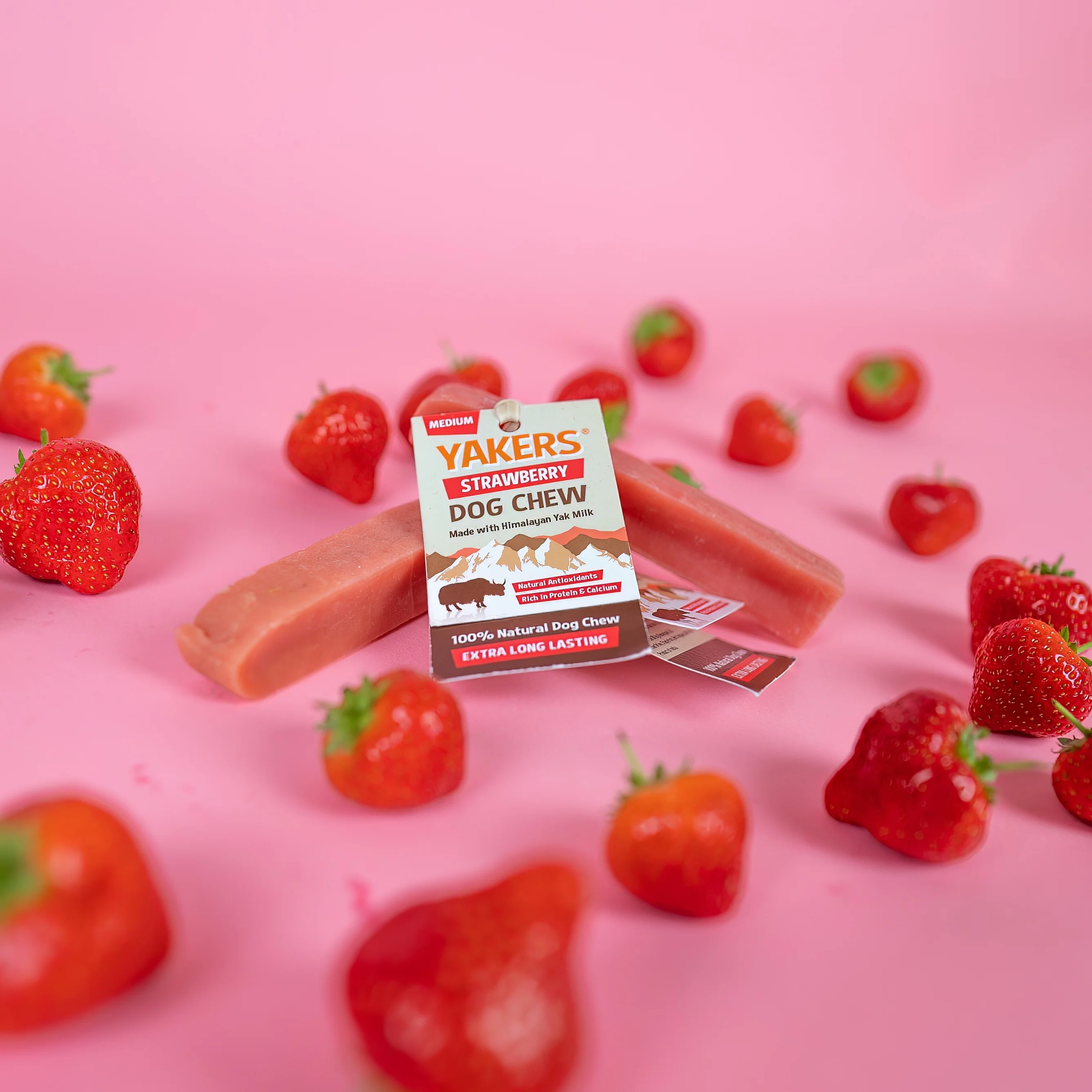 Yakers Himalayan Yak Milk Dog Chew Strawberry Box - Image 5