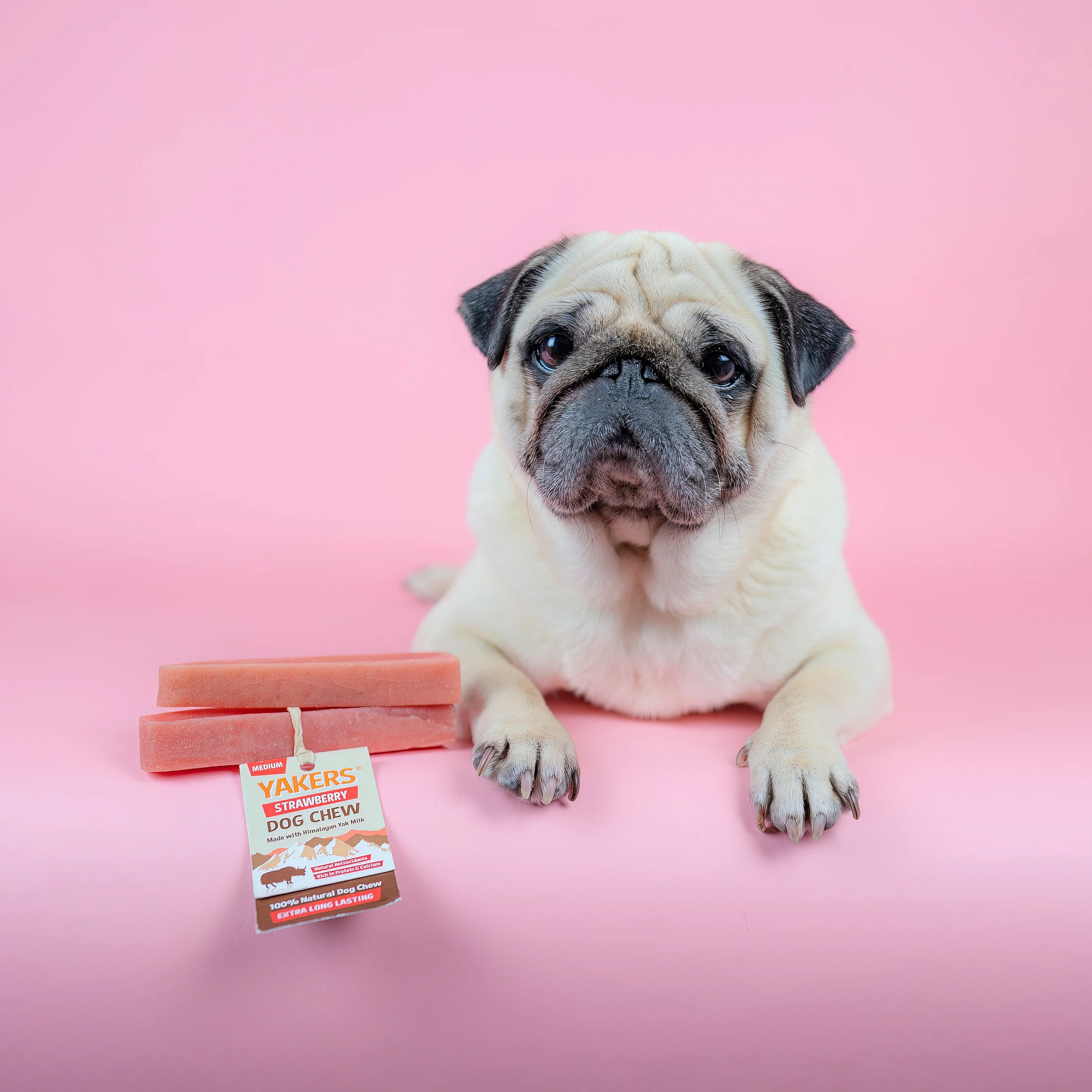 Yakers Himalayan Yak Milk Dog Chew Strawberry Box - Image 6